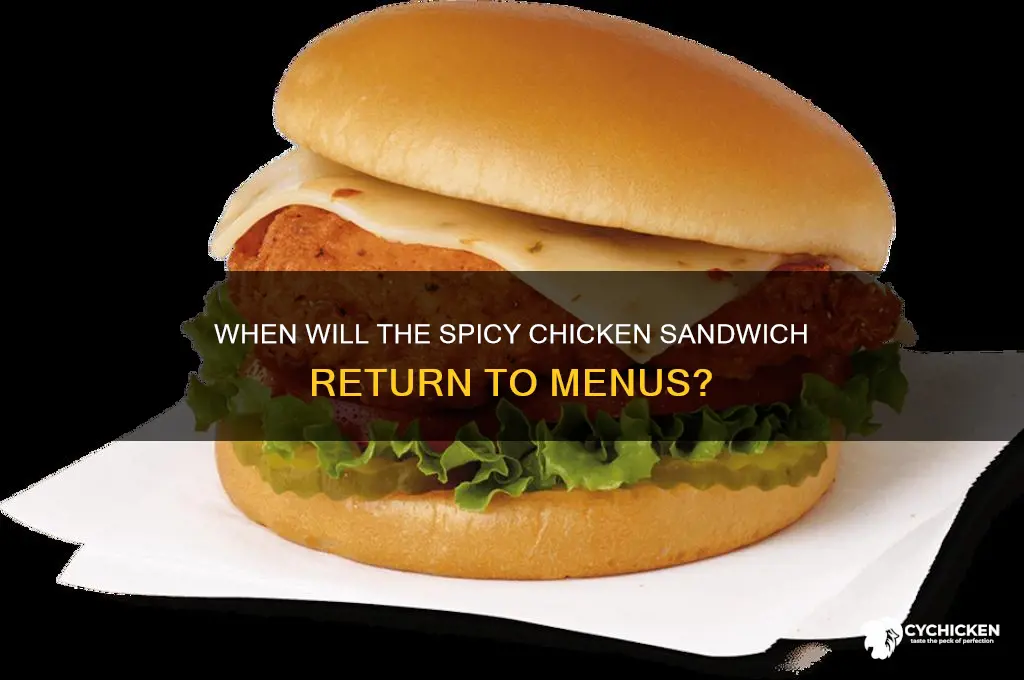 when is the spicy chicken sandwich coming back