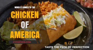 Exploring the Iconic Chicken of America: History, Culture, and Flavor