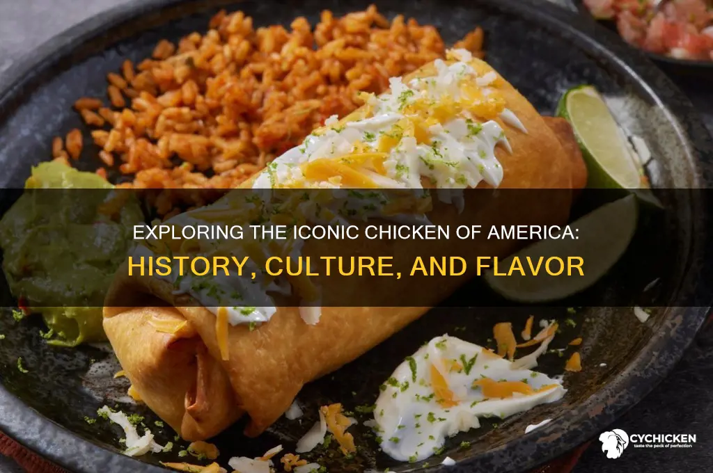 when it comes to the chicken of america