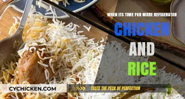 Time for More: Chicken, Rice, and Fridge Fun