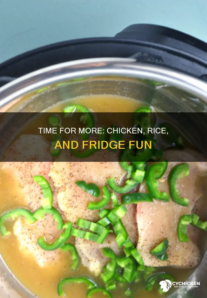 when its time for more refigerator chicken and rice