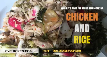Smart Strategies for Storing Chicken and Rice