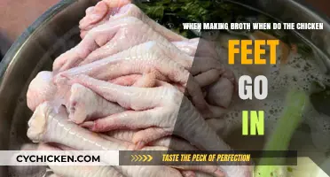 Perfect Timing: When to Add Chicken Feet to Your Broth