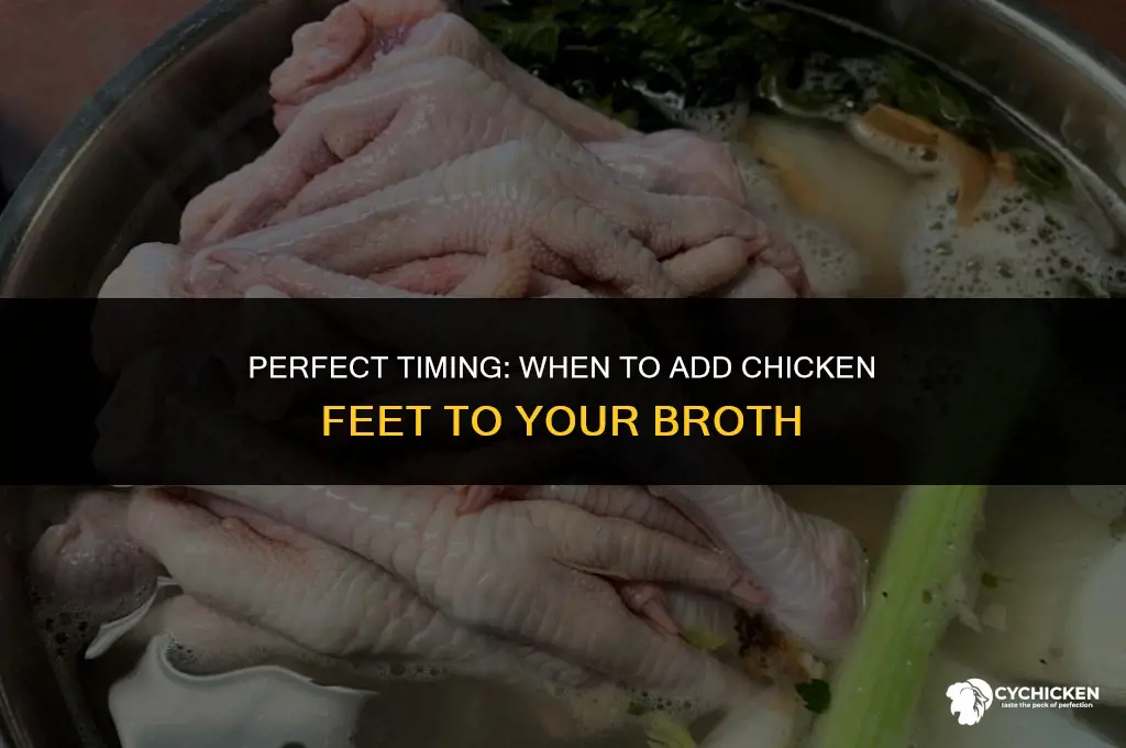 when making broth when do the chicken feet go in