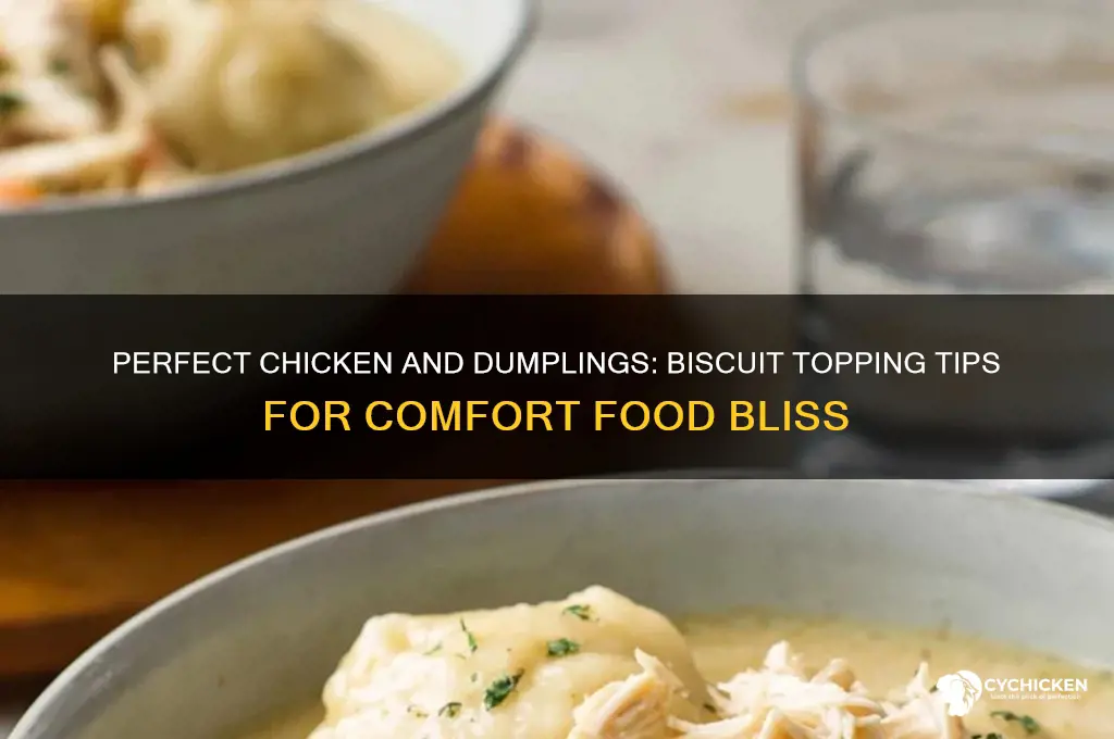 when making chicken and dumplings with biscuits