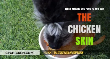 Should You Include Chicken Skin in Dog Food?