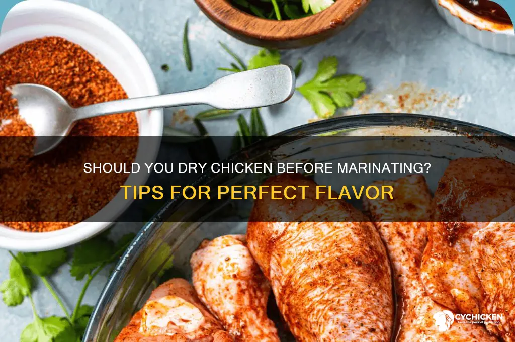 when marinating chicken should i dry the chicken