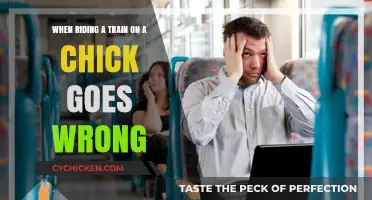 A Train Ride: When Things Go Wrong for a Chick