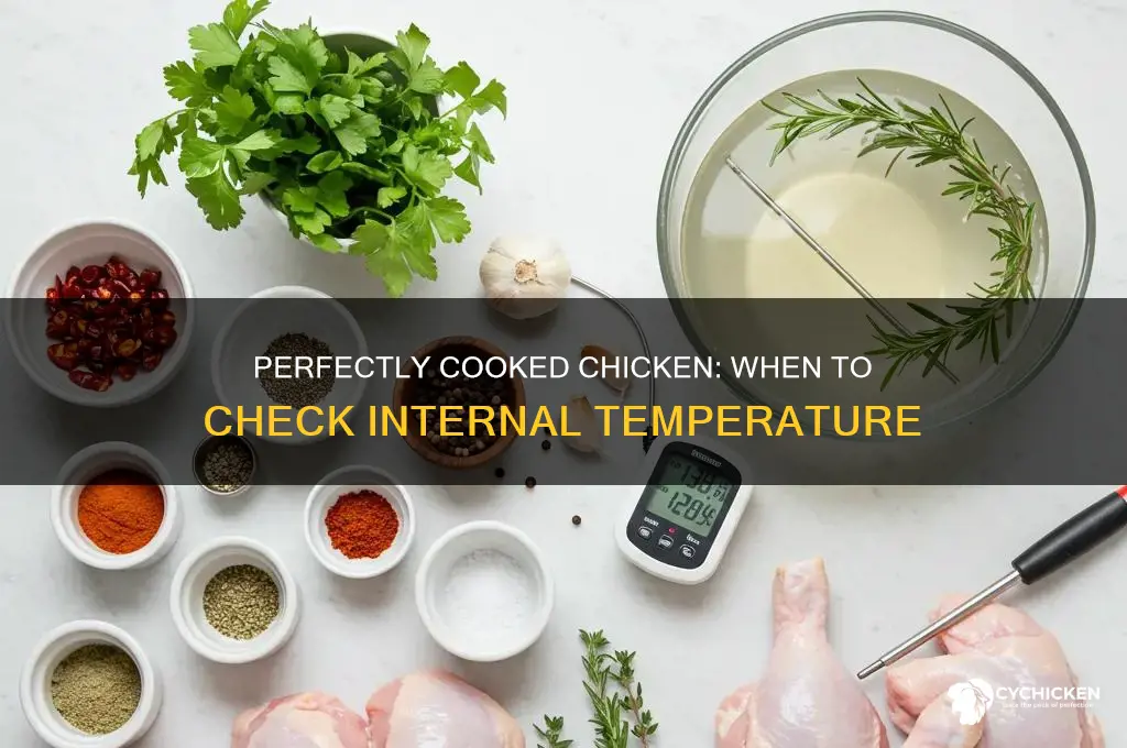 when should i check my chicken temp