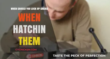 Locking Up Your Chicks: When and Why