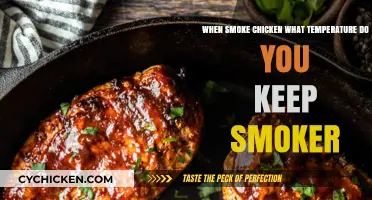Mastering Smoked Chicken: Maintaining the Right Smoker Temperature
