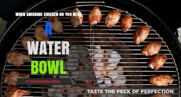 Smoking Chicken: Do You Need a Water Pan?