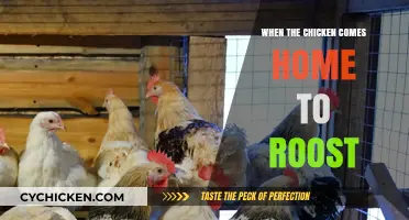 When the Chicken Comes Home to Roost: Consequences and Reflections