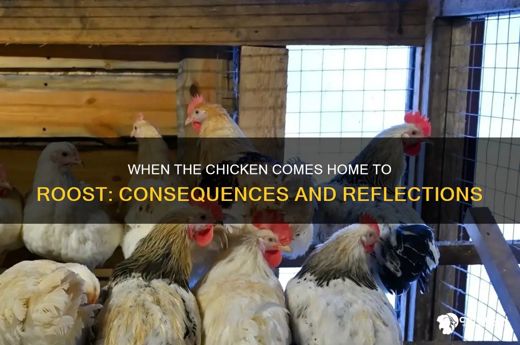 when the chicken comes home to roost