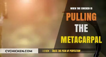 Unusual Chicken Behavior: Understanding Metacarpal Pulling in Poultry