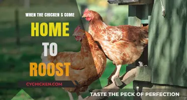 When the Chicken Comes Home to Roost: Facing Consequences