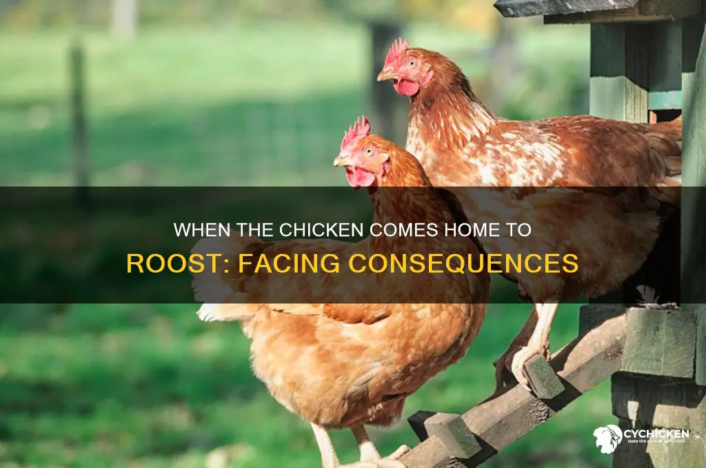 when the chicken s come home to roost