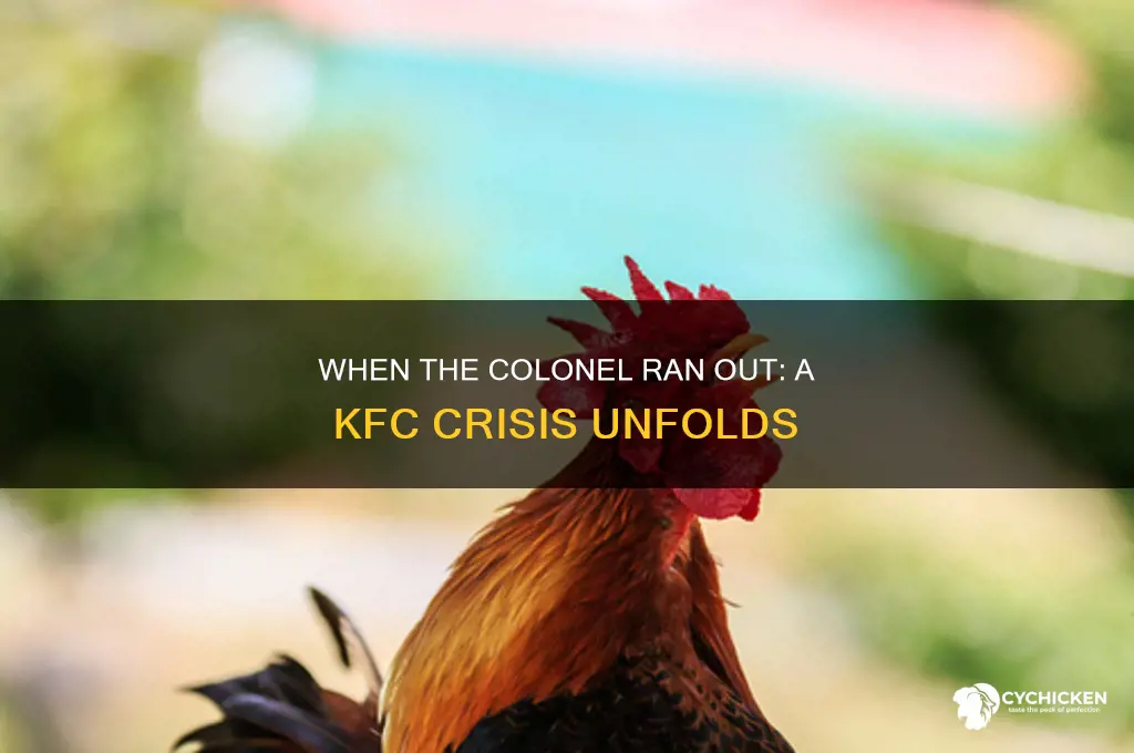 when the colonel ran out of chicken