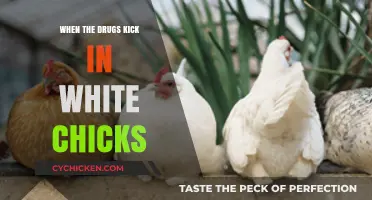 When the Drugs Kick In: White Chicks' Wild Ride Explored