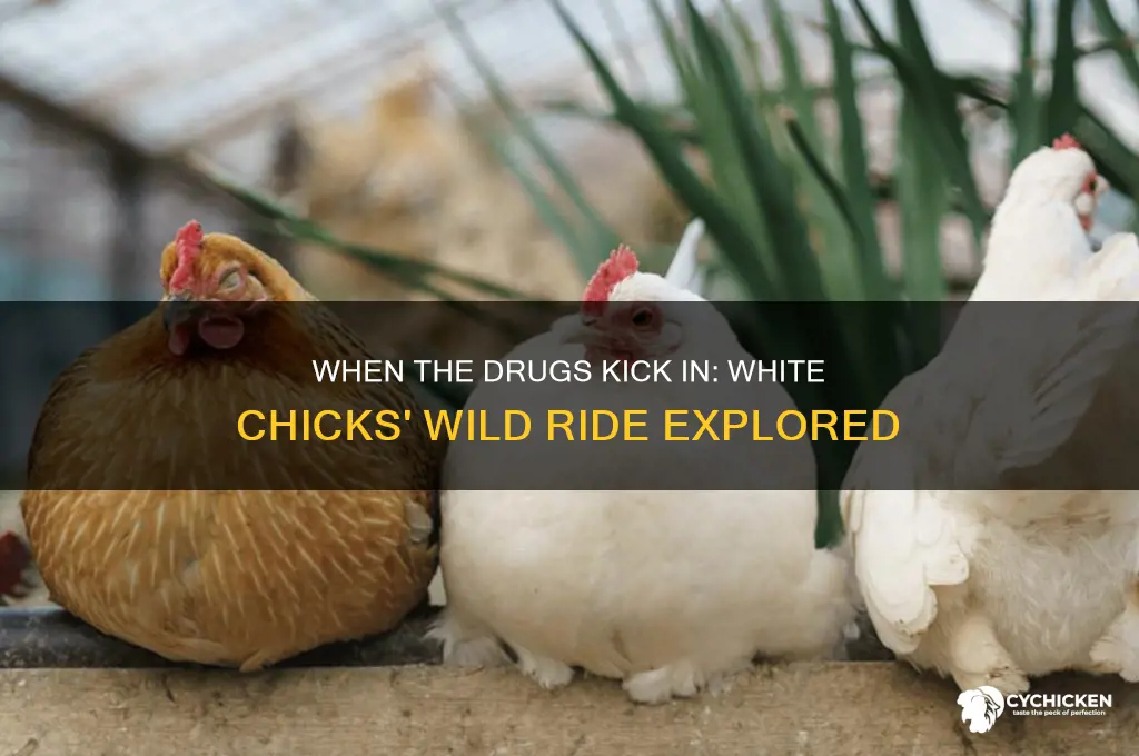 when the drugs kick in white chicks