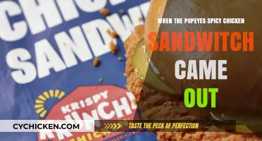 Popeyes Spicy Chicken Sandwich Launch: A Fast-Food Revolution Unfolds