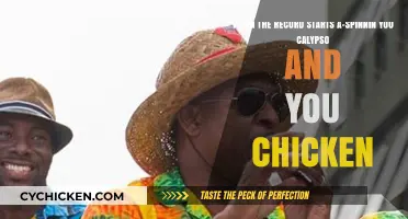 Calypso Chicken: A Musical Spin