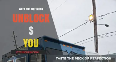 Side Chick Unblocks You: Navigating the Unexpected Reconnection