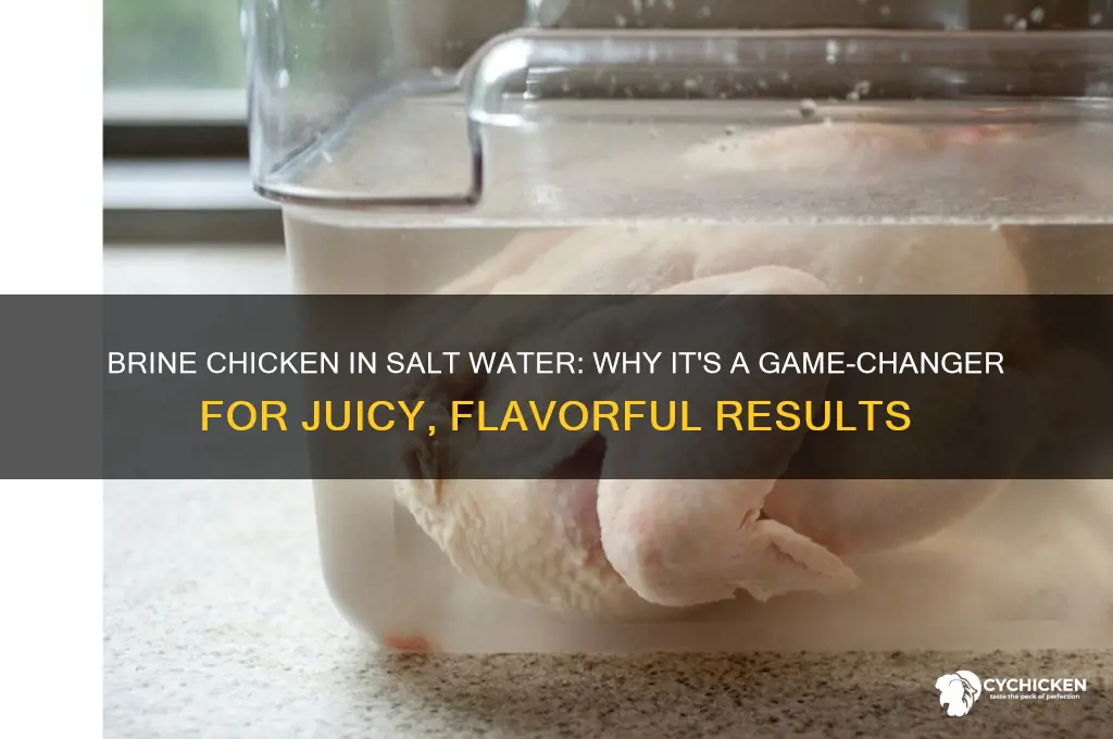 when they say brine chicken in salt water