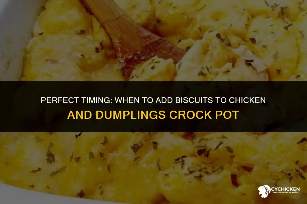 when to add biscuits to chicken and dumplings crock pot