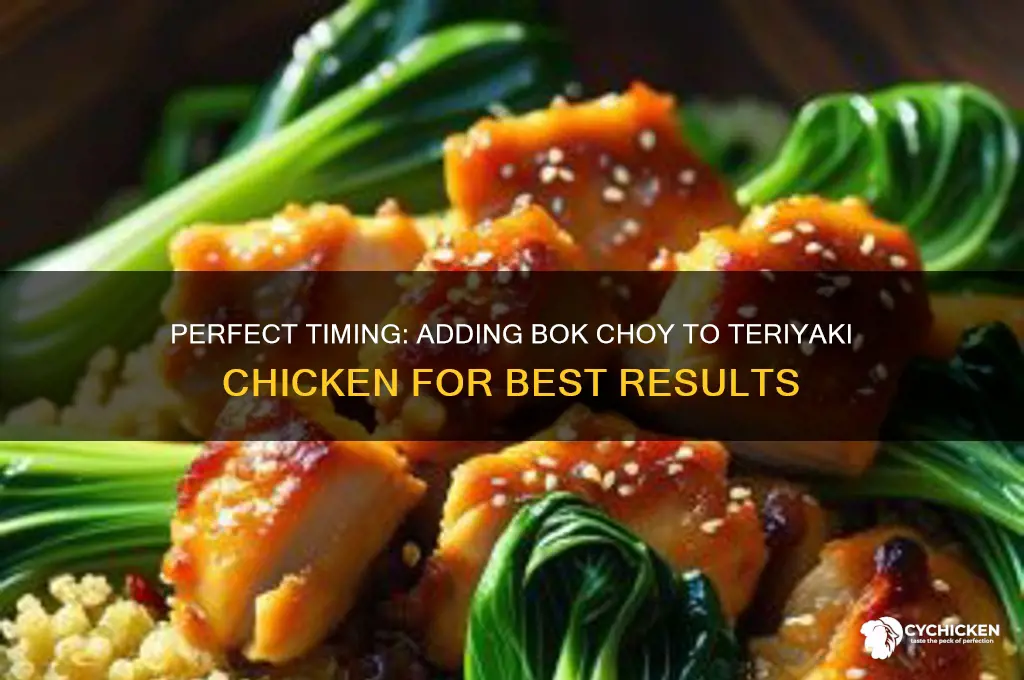 when to add bok choy to teriyaki chicken