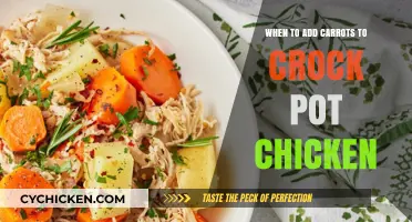 Perfect Timing: When to Add Carrots to Crock Pot Chicken for Optimal Flavor
