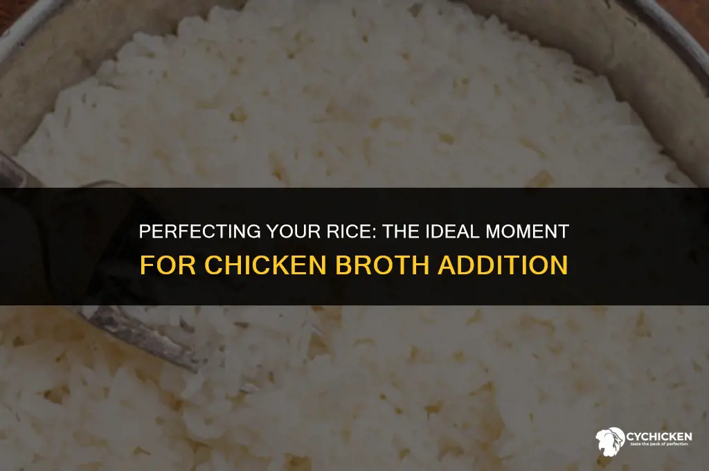 when to add chicken broth to rice