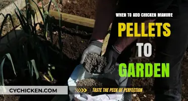Boosting Garden Growth: Timing Chicken Manure Pellet Application for Best Results