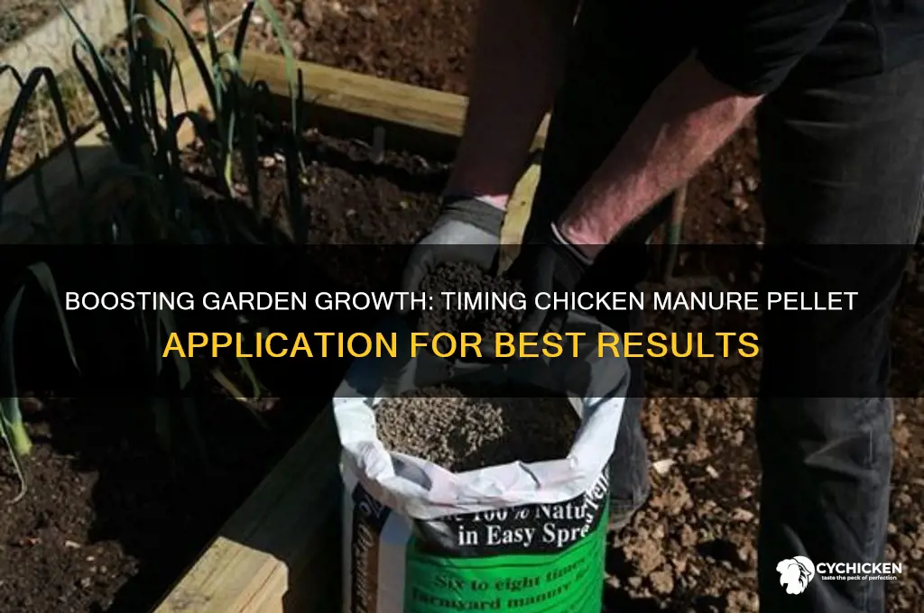 when to add chicken manure pellets to garden