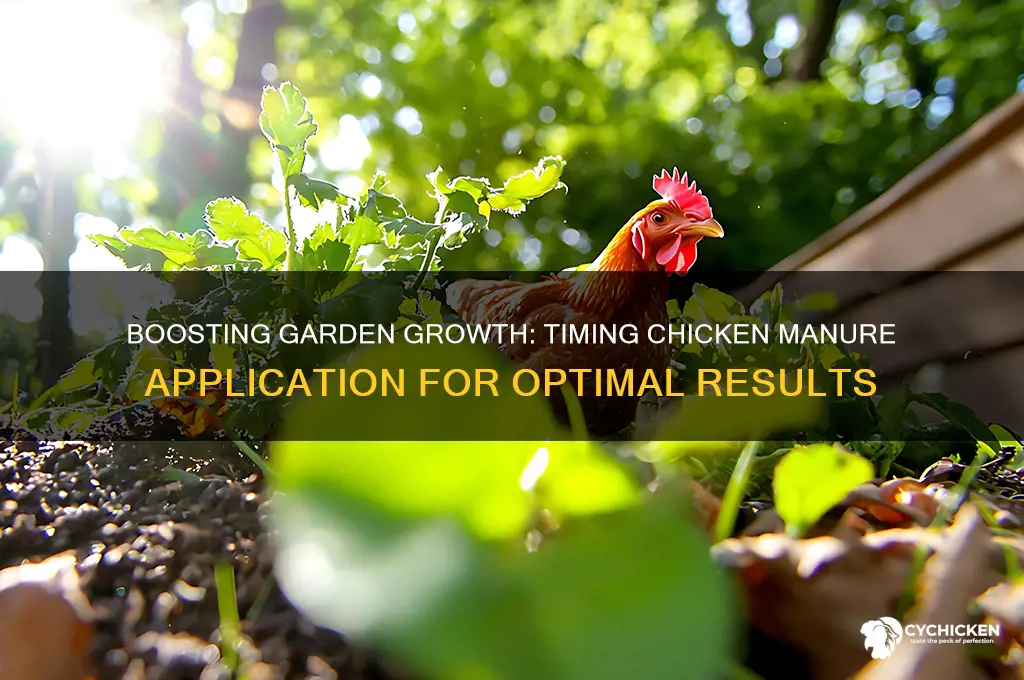 when to add chicken manure to garden
