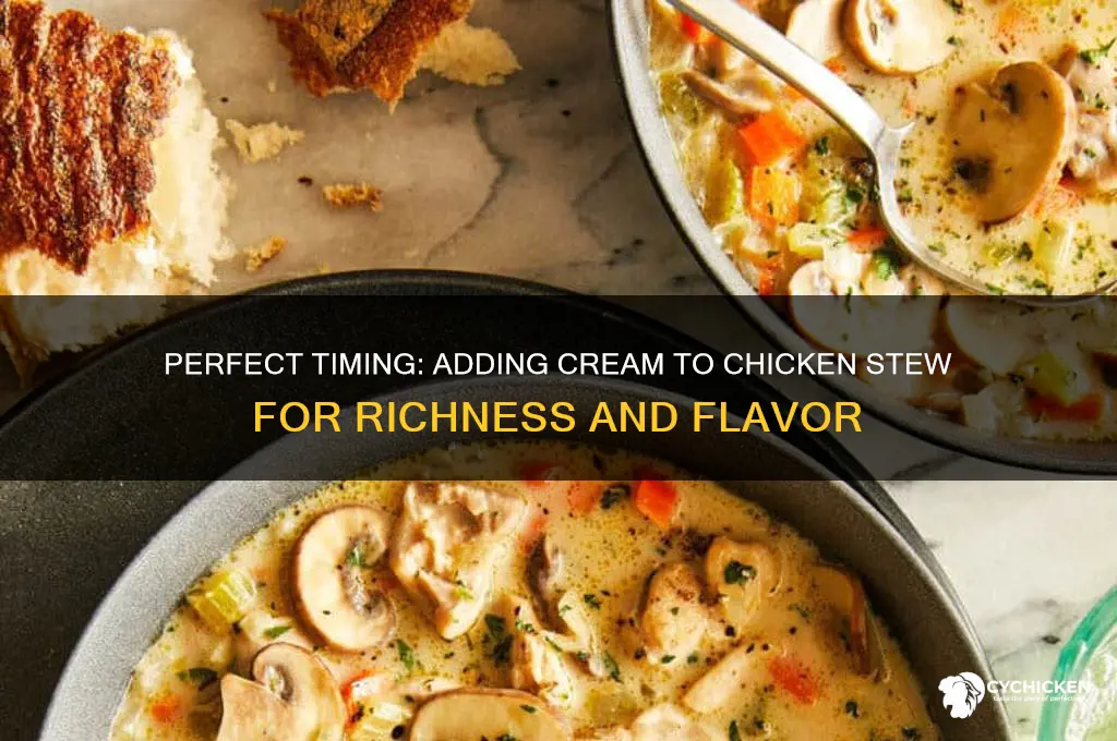 when to add cream to chicken stew