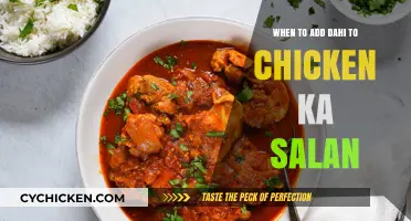 Perfecting Chicken Ka Salan: The Ideal Moment for Dahi Addition
