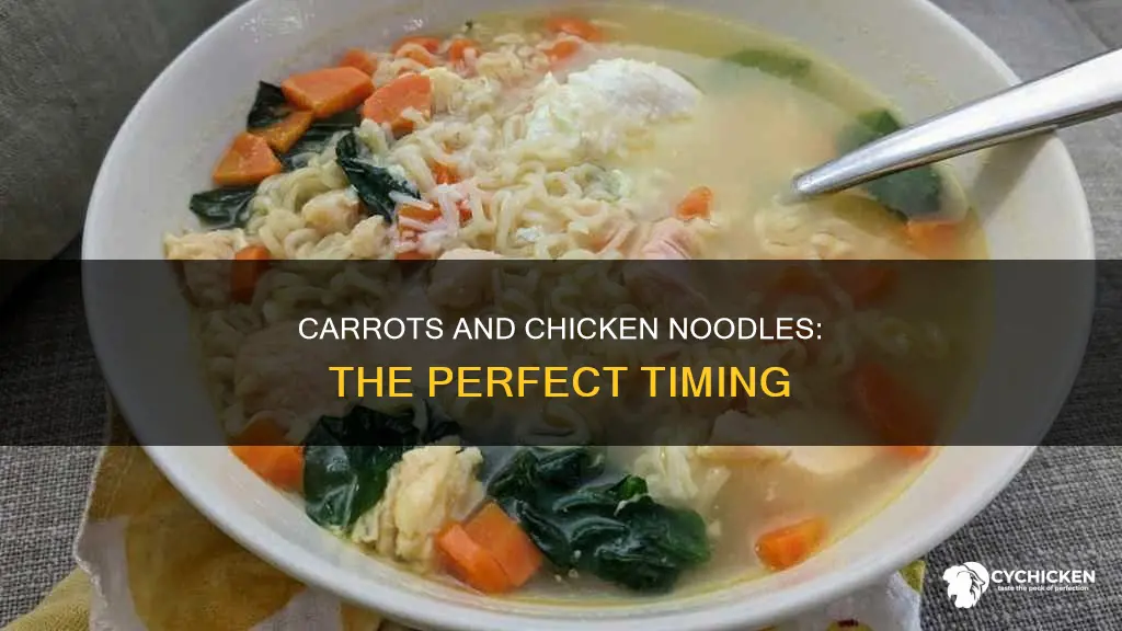 when to add fresh carrotsvto home chicken and noodles