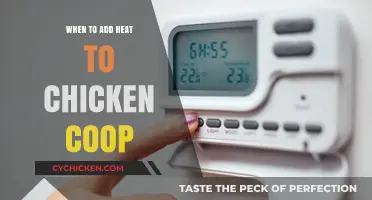 Optimal Timing for Heating Your Chicken Coop: A Guide