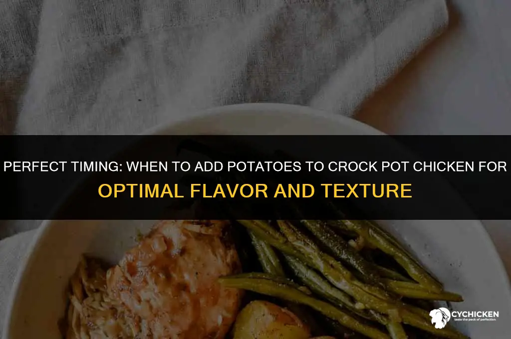 when to add potatoes to crock pot chicken