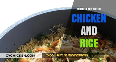 Perfect Timing: When to Add Rice in Chicken and Rice Dish
