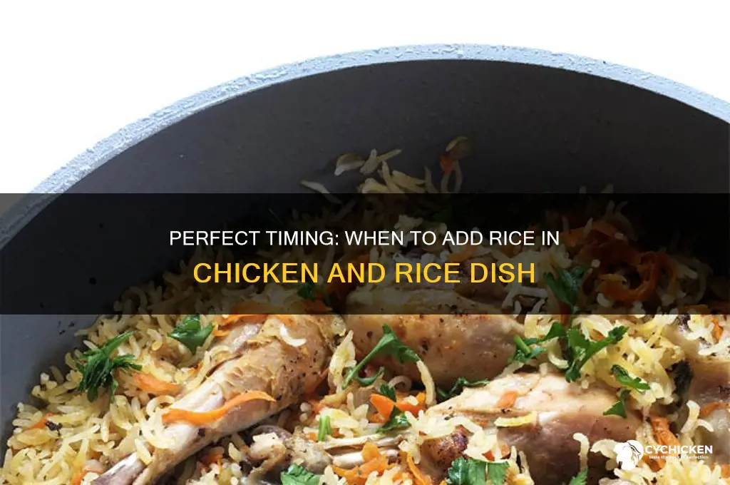 when to add rice in chicken and rice