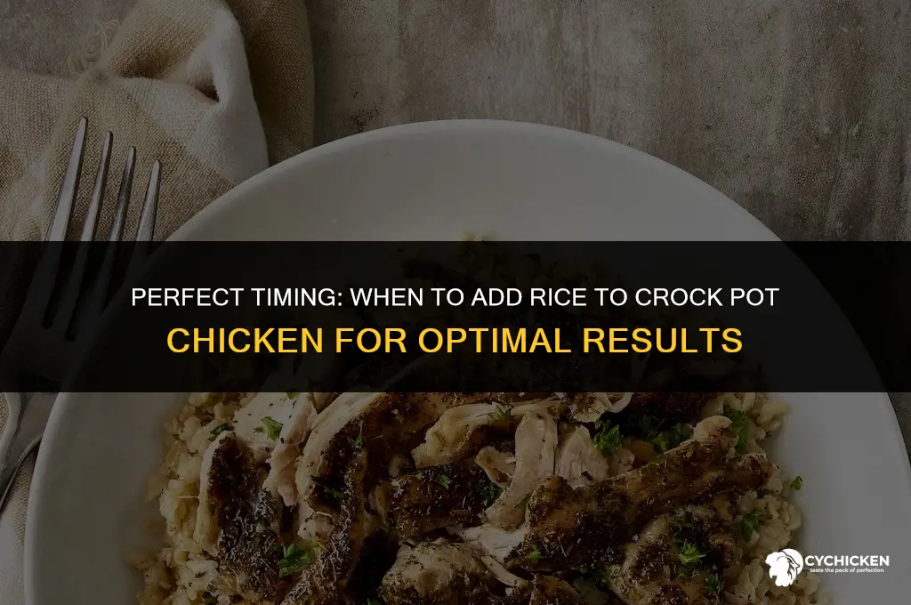 when to add rice to crock pot chicken