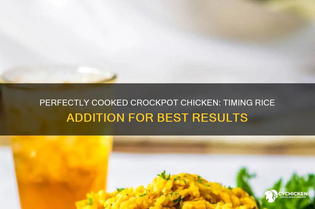 when to add rice to crockpot chicken
