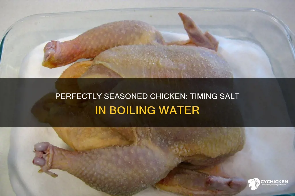 when to add salt to boiling chicken