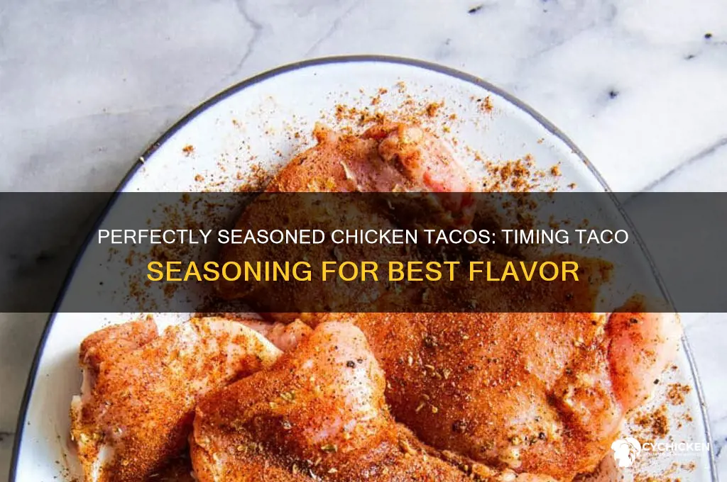when to add taco seasoning to chicken