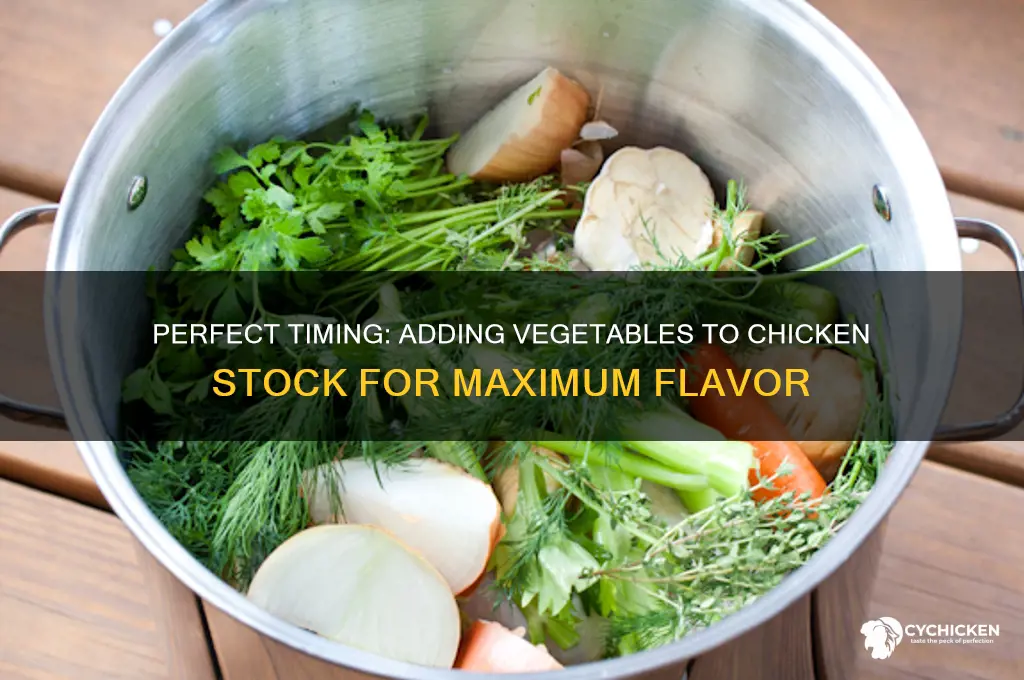 when to add vegetables to chicken stock