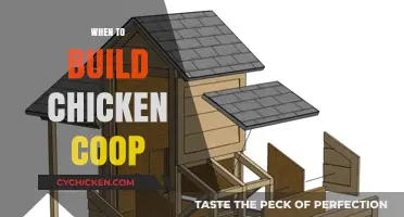 Perfect Timing: When to Build Your Dream Chicken Coop