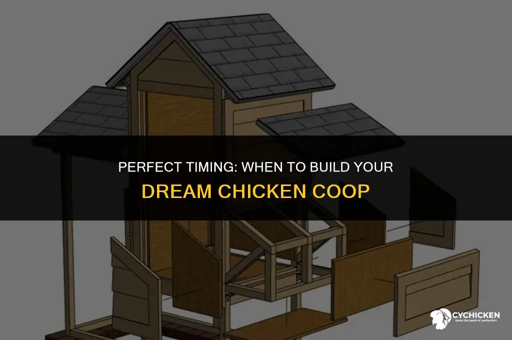when to build chicken coop