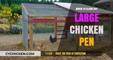Optimal Timing for Cleaning Your Large Chicken Pen: A Guide
